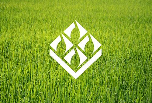 北京糧食集團品牌vi設計